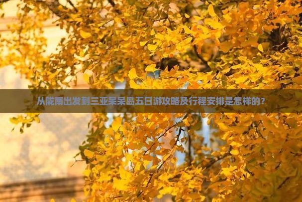 从陇南出发到三亚呆呆岛五日游攻略及行程安排是怎样的？