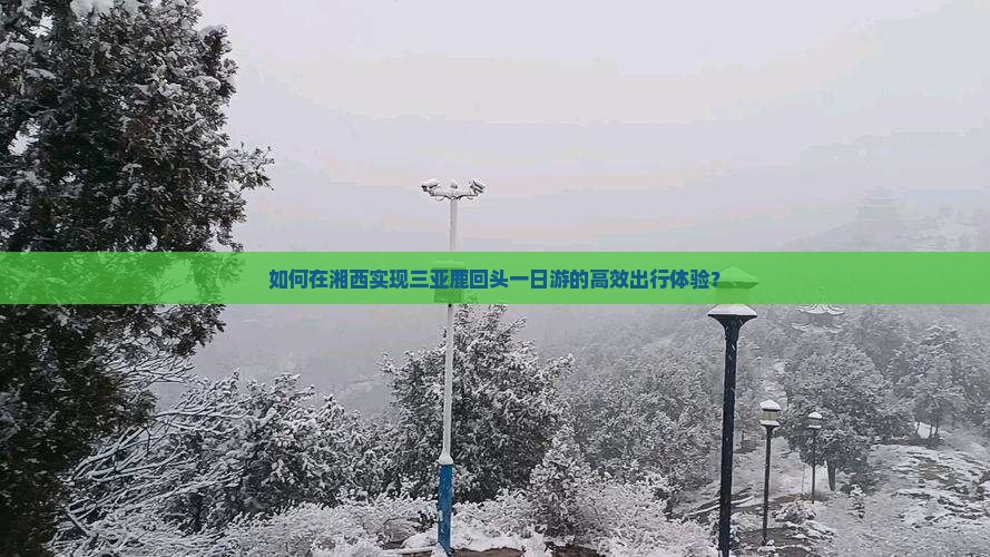 如何在湘西实现三亚鹿回头一日游的高效出行体验？