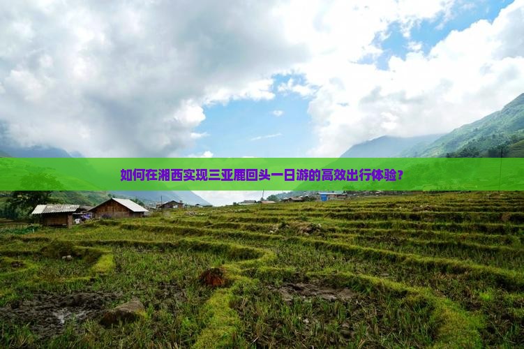 如何在湘西实现三亚鹿回头一日游的高效出行体验？