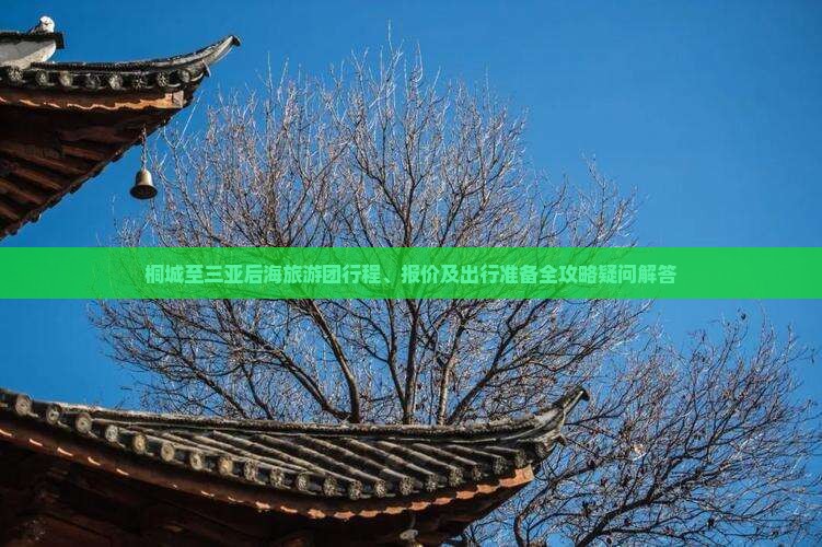 桐城至三亚后海旅游团行程、报价及出行准备全攻略疑问解答