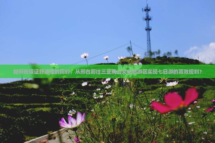 如何在保证舒适度的同时，从邢台前往三亚南山文化旅游区实现七日游的高效规划？