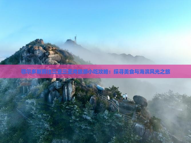 鄂尔多斯前往三亚三亚湾旅游小吃攻略：探寻美食与海滨风光之旅