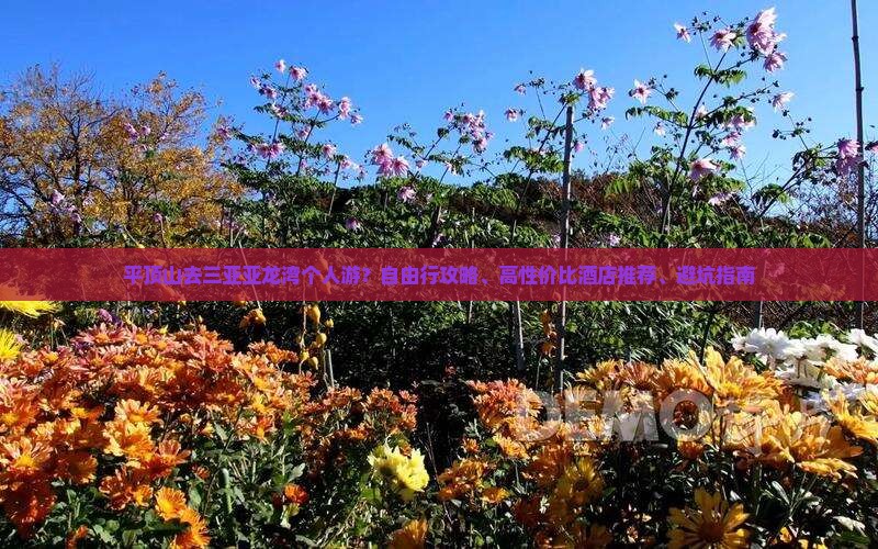平顶山去三亚亚龙湾个人游？自由行攻略、高性价比酒店推荐、避坑指南