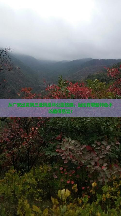从广安出发到三亚凤凰岭公园旅游，当地有哪些特色小吃值得品尝？