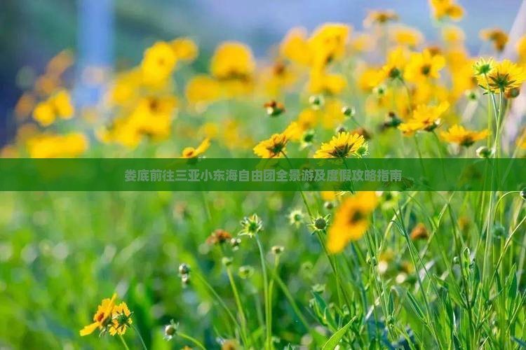 娄底前往三亚小东海自由团全景游及度假攻略指南