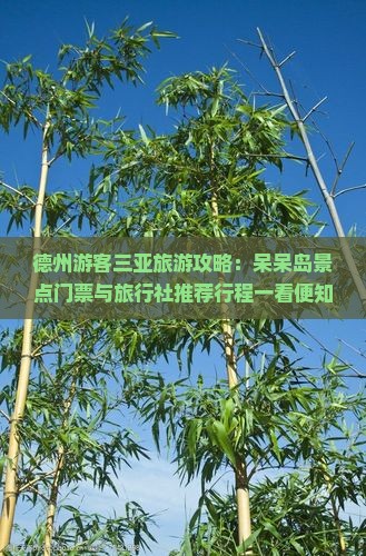 德州游客三亚旅游攻略：呆呆岛景点门票与旅行社推荐行程一看便知