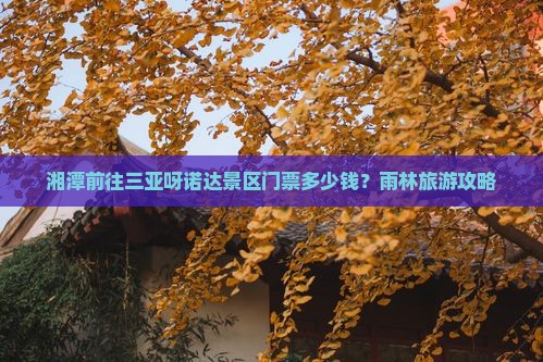 湘潭前往三亚呀诺达景区门票多少钱？雨林旅游攻略