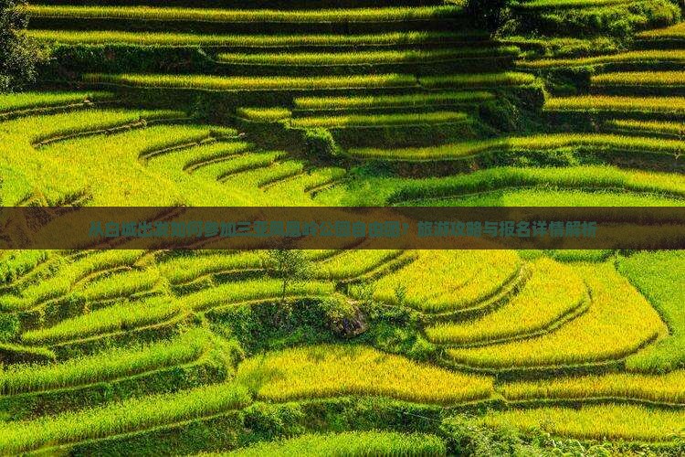 从白城出发如何参加三亚凤凰岭公园自由团？旅游攻略与报名详情解析