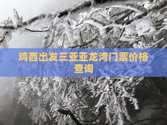 鸡西出发三亚亚龙湾门票价格查询