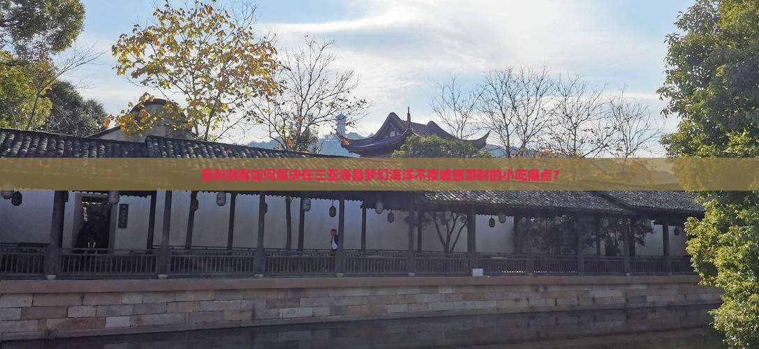 垦利游客如何解决在三亚海昌梦幻海洋不夜城旅游时的小吃痛点？