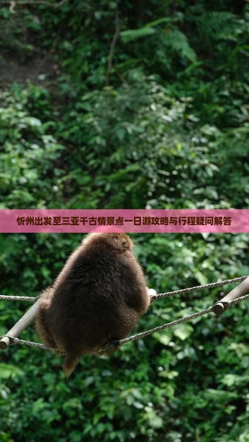 忻州出发至三亚千古情景点一日游攻略与行程疑问解答