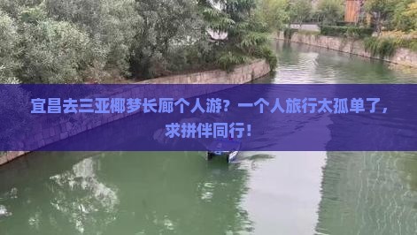 宜昌去三亚椰梦长廊个人游？一个人旅行太孤单了，求拼伴同行！