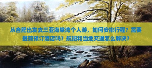 从合肥出发去三亚海棠湾个人游，如何安排行程？需要提前预订酒店吗？航班和当地交通怎么解决？