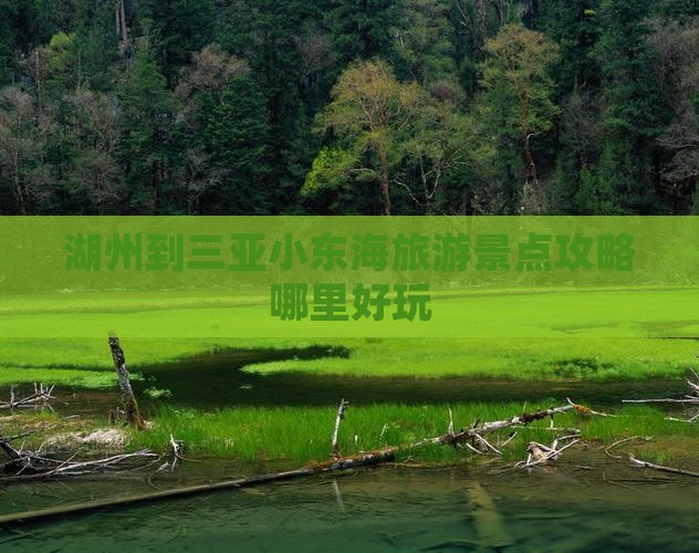 湖州到三亚小东海旅游景点攻略哪里好玩