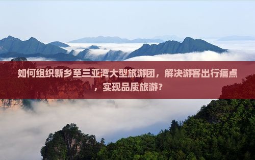 如何组织新乡至三亚湾大型旅游团，解决游客出行痛点，实现品质旅游？