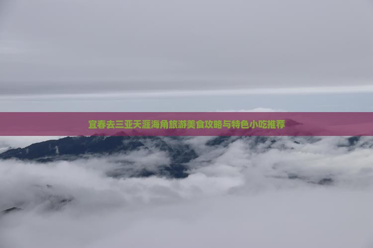 宜春去三亚天涯海角旅游美食攻略与特色小吃推荐
