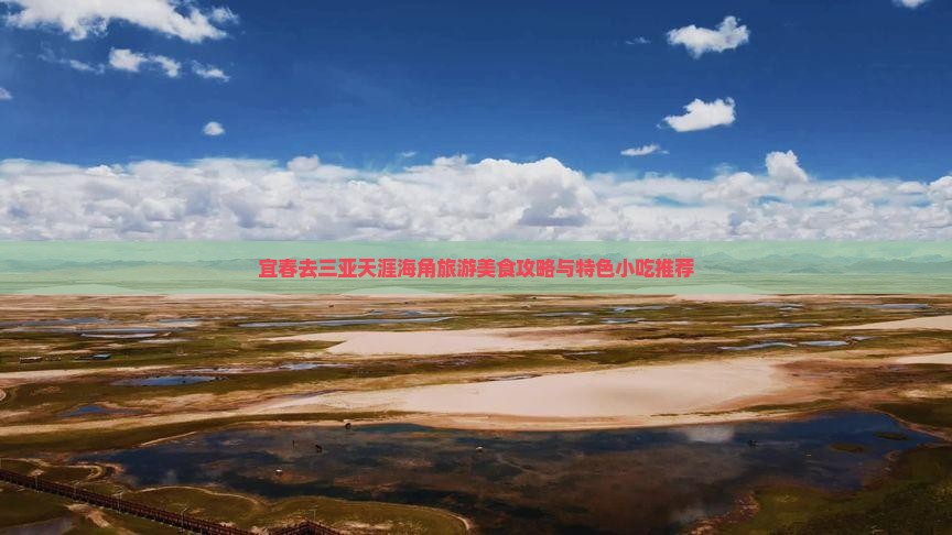 宜春去三亚天涯海角旅游美食攻略与特色小吃推荐