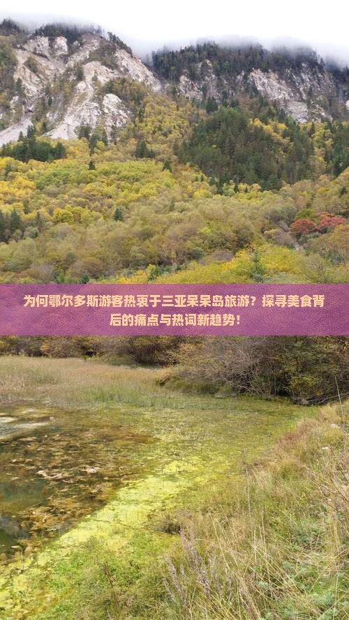 为何鄂尔多斯游客热衷于三亚呆呆岛旅游？探寻美食背后的痛点与热词新趋势！