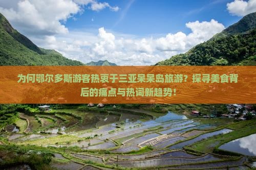 为何鄂尔多斯游客热衷于三亚呆呆岛旅游？探寻美食背后的痛点与热词新趋势！