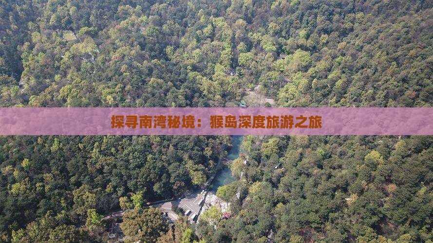 探寻南湾秘境：猴岛深度旅游之旅
