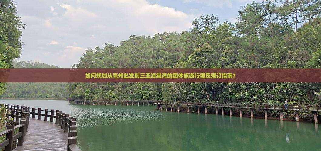 如何规划从亳州出发到三亚海棠湾的团体旅游行程及预订指南？