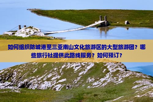 如何组织防城港至三亚南山文化旅游区的大型旅游团？哪些旅行社提供此路线服务？如何预订？