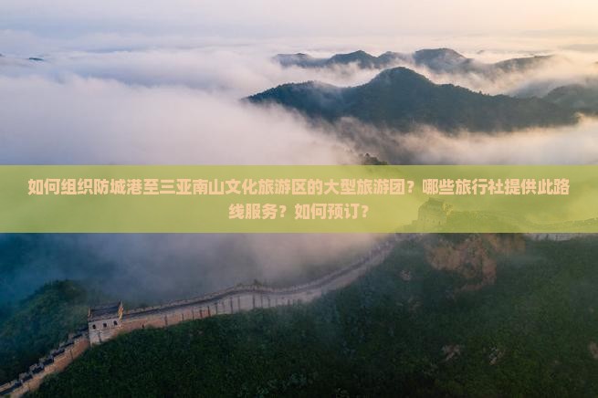 如何组织防城港至三亚南山文化旅游区的大型旅游团？哪些旅行社提供此路线服务？如何预订？