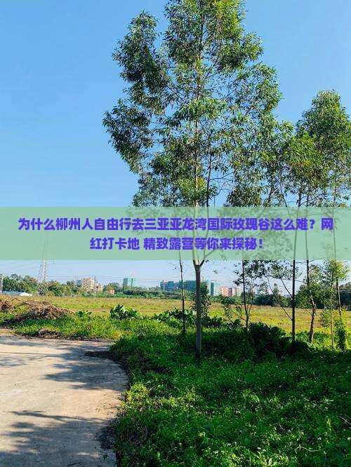 为什么柳州人自由行去三亚亚龙湾国际玫瑰谷这么难？网红打卡地+精致露营等你来探秘！