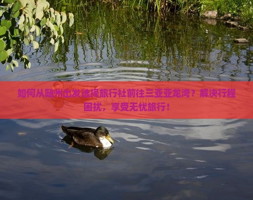 如何从随州出发选择旅行社前往三亚亚龙湾？解决行程困扰，享受无忧旅行！