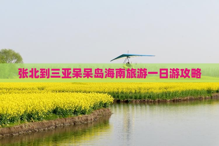 张北到三亚呆呆岛海南旅游一日游攻略