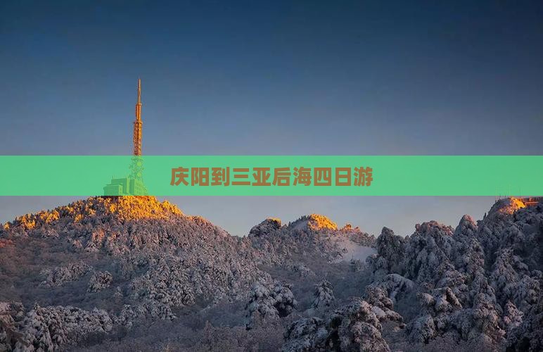 庆阳到三亚后海四日游