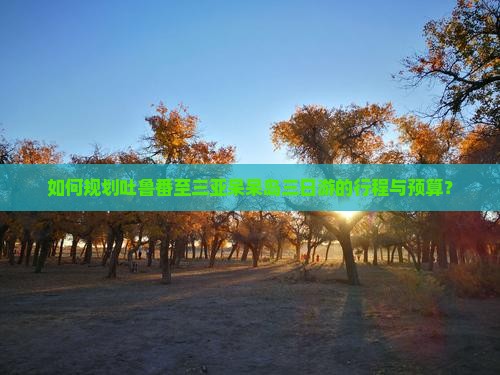 如何规划吐鲁番至三亚呆呆岛三日游的行程与预算？
