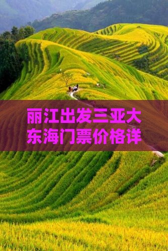 丽江出发三亚大东海门票价格详情