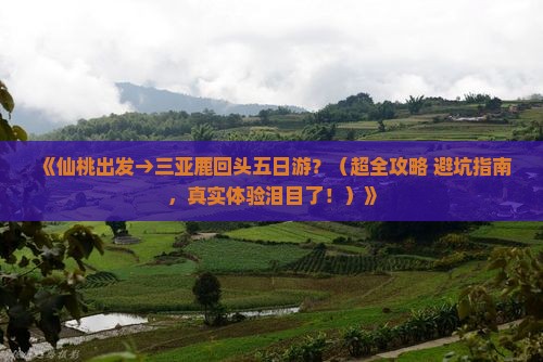仙桃出发三亚鹿回头五日游