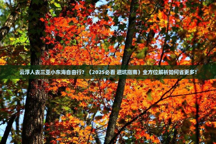云浮前往三亚小东海自由团