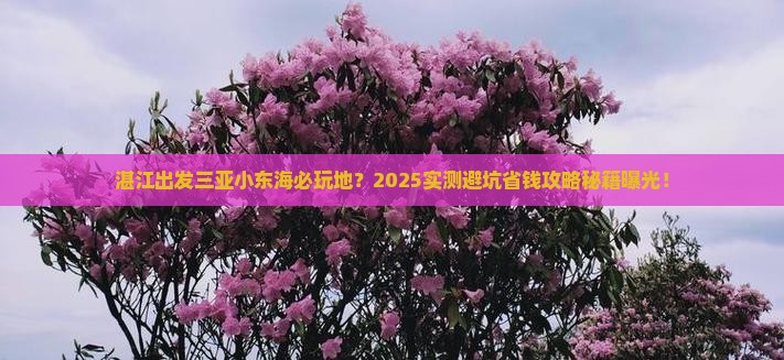 湛江出发三亚小东海必玩地