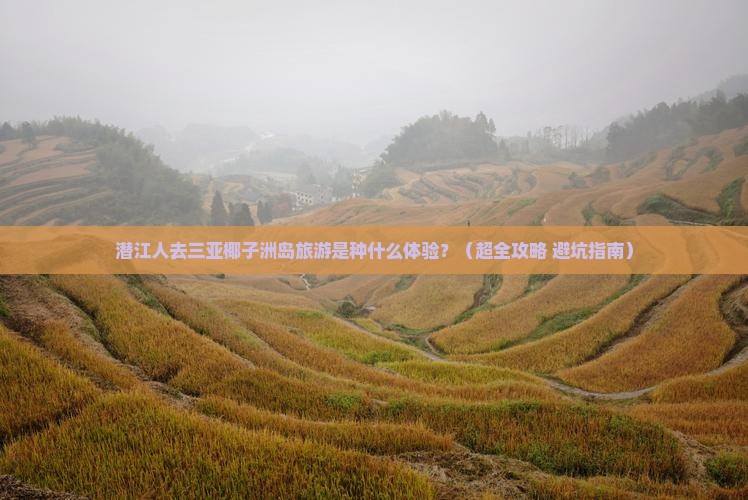 潜江去三亚椰子洲岛大型旅游团