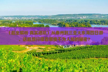 泰州前往三亚大东海四日游