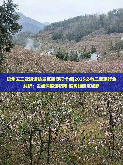 梧州去三亚呀诺达景区旅游打卡点