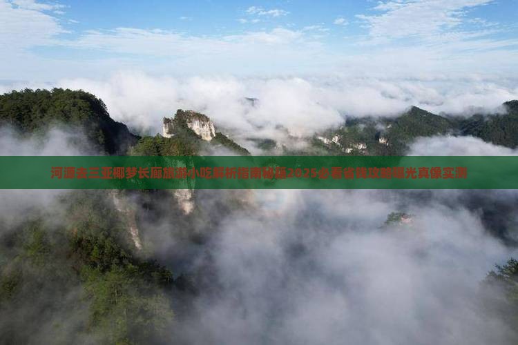 河源去三亚椰梦长廊旅游小吃