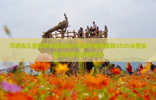 河源去三亚椰梦长廊旅游小吃