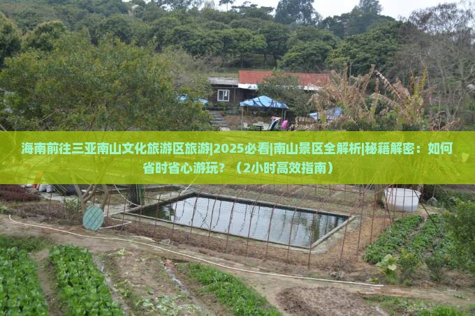 海南前往三亚南山文化旅游区旅游
