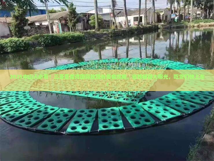 中山前往三亚亚龙湾国际玫瑰谷旅游小吃