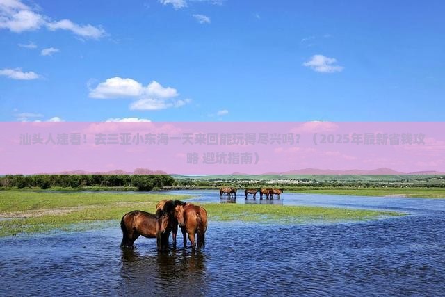 汕头前往三亚小东海一日游