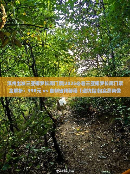 滨州出发三亚椰梦长廊门票