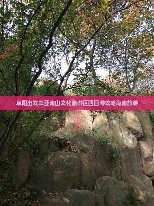 阜阳去三亚南山文化旅游区四日游
