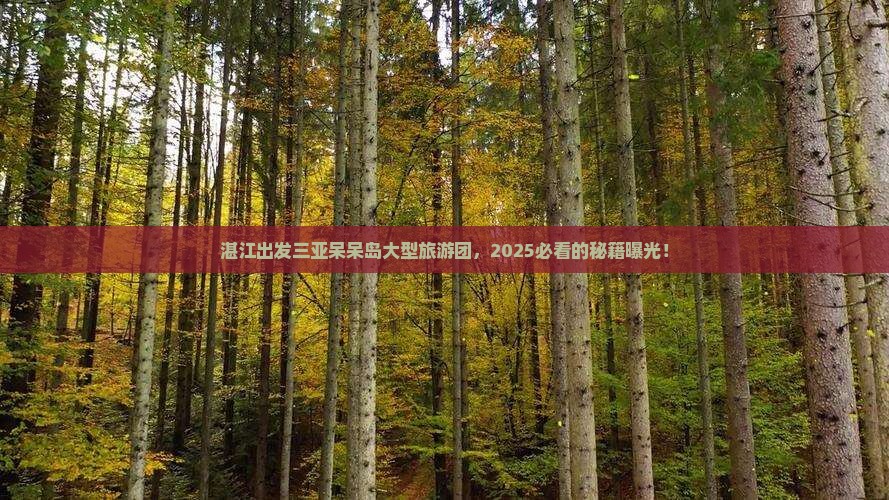 湛江出发三亚呆呆岛大型旅游团