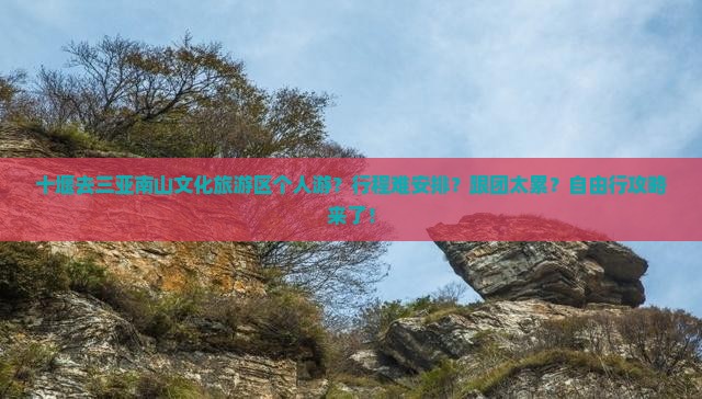 十堰去三亚南山文化旅游区个人游