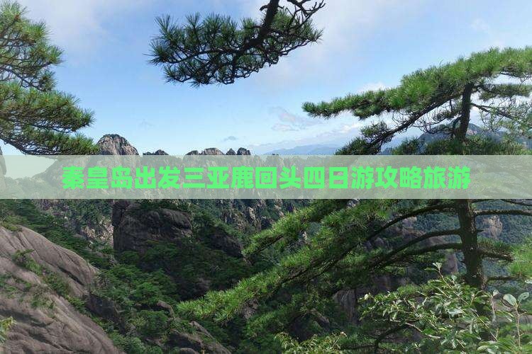 秦皇岛出发三亚鹿回头四日游