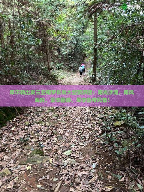 库尔勒出发三亚椰梦长廊大型旅游团